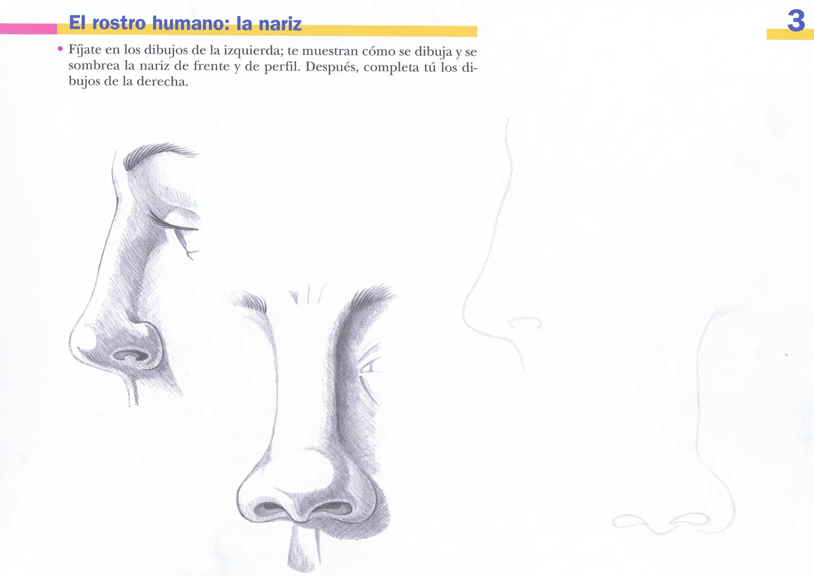 Educación Artística de 5º