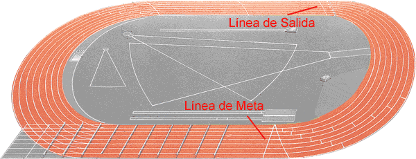 Educación y Atletismo