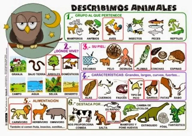 MIS COSAS DE EDUCACIÓN ESPECIAL .: Aprendemos a describir personas ... MIS COSAS DE EDUCACIÓN ESPECIAL .: Aprendemos a describir personas ...