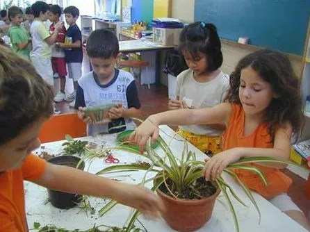 Educación Inclusiva
