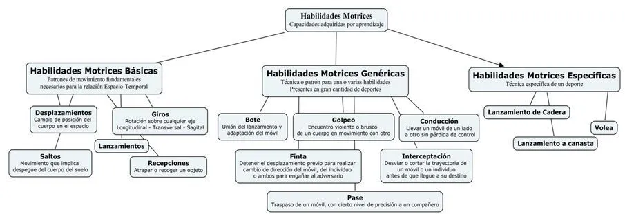 Educación Infantil. Las habilidades motrices básicas Educación Infantil. Las habilidades motrices básicas