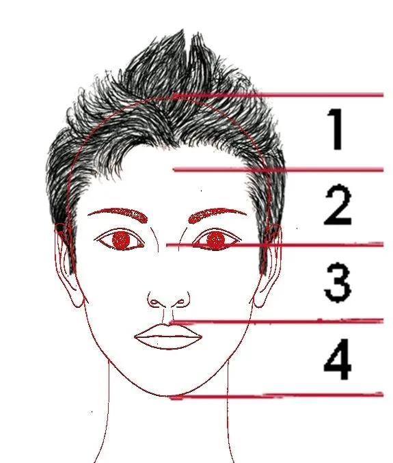 EDUCACIÓN PLÁSTICA CON MAYALEN: PROPORCIONES DEL ROSTRO EDUCACIÓN PLÁSTICA CON MAYALEN: PROPORCIONES DEL ROSTRO