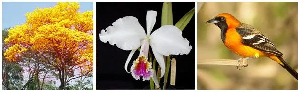 Educación: Simbolos Naturales y Patrios de Venezuela