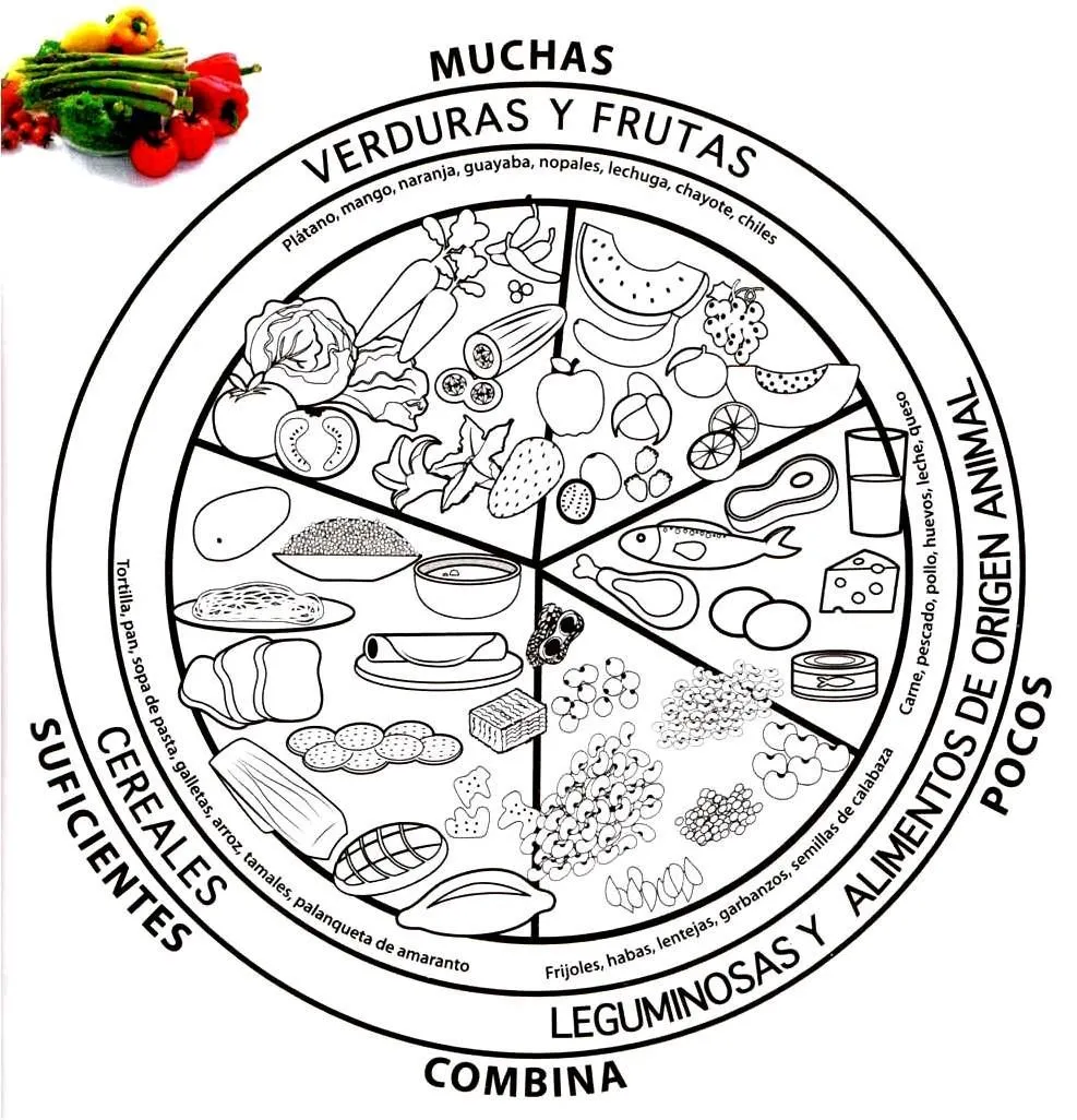 Educando y jugando: PLATO DEL BIEN COMER PARA COLOREAR | Dibujos ... Educando y jugando: PLATO DEL BIEN COMER PARA COLOREAR | Dibujos ...