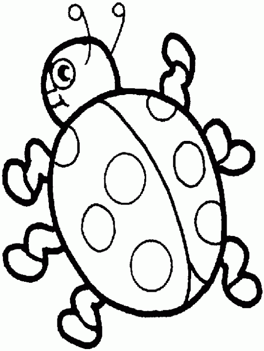 Insectos para colorear e imprimir - Imagui