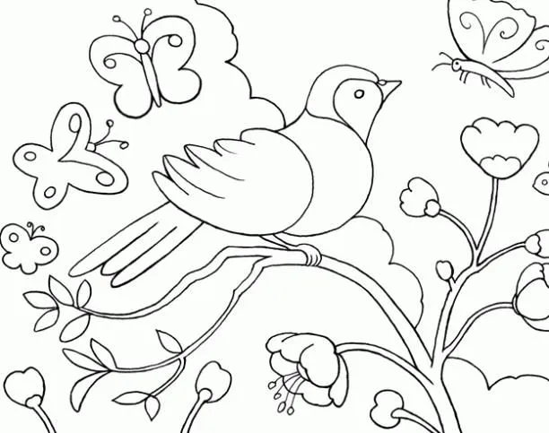 Animales de la primavera para niños - Imagui