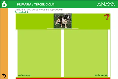 Imagenes de animales oviparos y viviparos para colorear - Imagui Imagenes de animales oviparos y viviparos para colorear - Imagui