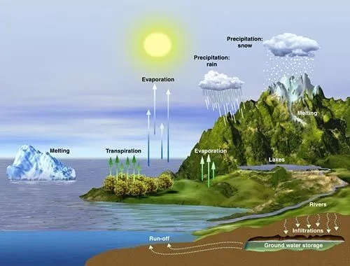 Educandonos para educar: SERES BIÓTICOS Y ABIÓTICOS Educandonos para educar: SERES BIÓTICOS Y ABIÓTICOS