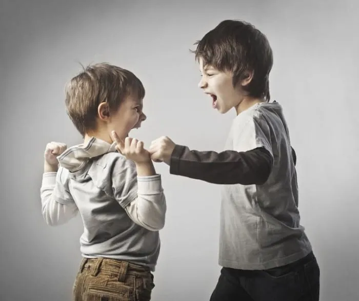 Educar a los niños para que tengan habilidades de resolución de conflictos - Etapa Infantil Educar a los niños para que tengan habilidades de resolución de conflictos - Etapa Infantil