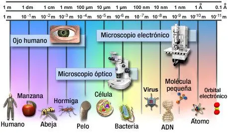educ.ar | Sitio de aportes educar