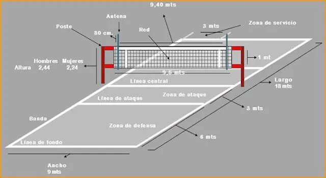 teoría del voleibol - ed física voleibol