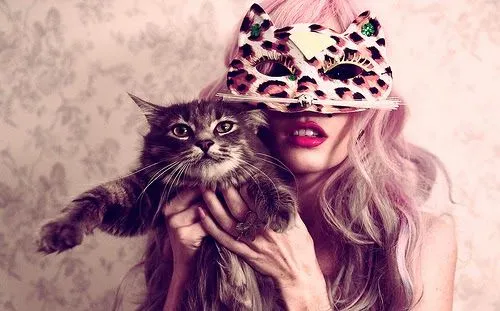Efecto Social Media: 5 tips para aumentar seguidores en Instagram Efecto Social Media: 5 tips para aumentar seguidores en Instagram