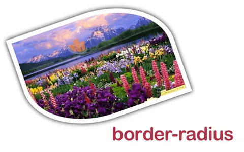 Efectos de bordes redondeados en las imágenes | Ciudad Blogger ... Efectos de bordes redondeados en las imágenes | Ciudad Blogger ...