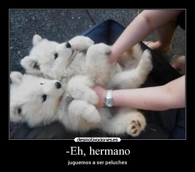 Eh, hermano | Desmotivaciones