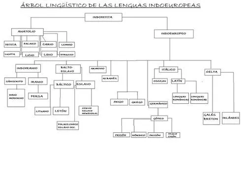 EJERCICIO III: ÁRBOL GENEAOLÓGICO. - dahirlocuslinguae.over-blog.es