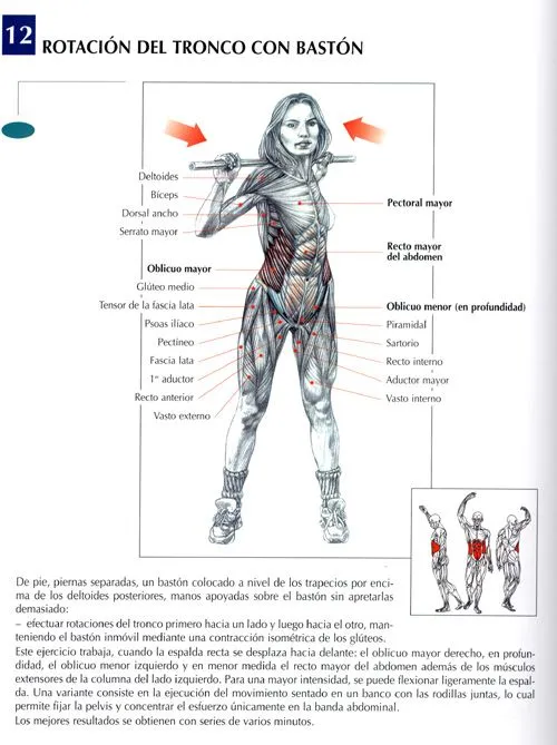 Ejercicios Abdominales : Fotos. Musculación y pesas. Ejercicios Abdominales : Fotos. Musculación y pesas.