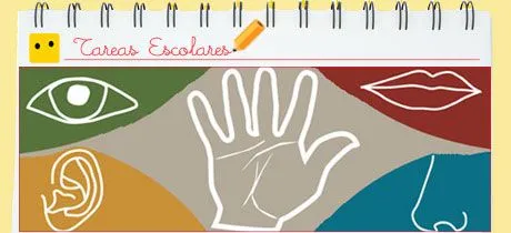 Ejercicios del cuerpo humano para niños por edades. Los sentidos Ejercicios del cuerpo humano para niños por edades. Los sentidos
