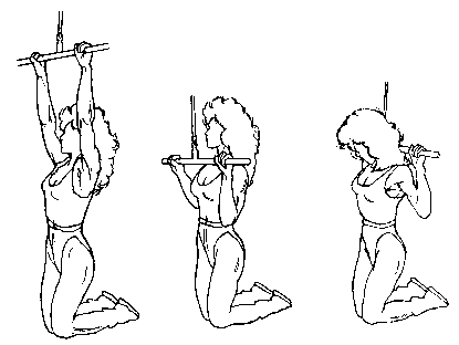 Ejercicios de gimnasios | Articulos de Musculación Ejercicios de gimnasios | Articulos de Musculación