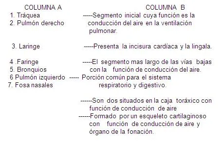 Ejercicios para lograr el diagnóstico cognitivo de los estudiantes ... Ejercicios para lograr el diagnóstico cognitivo de los estudiantes ...