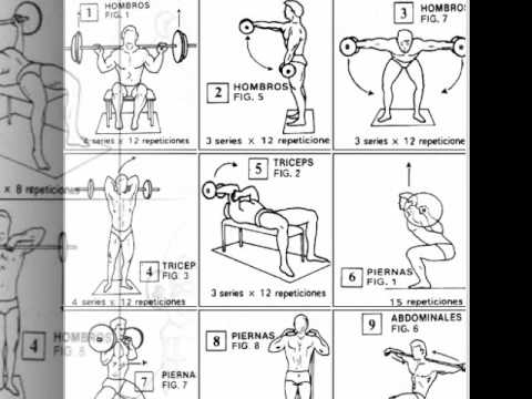 ejercicios de musculacion y abdominales - YouTube ejercicios de musculacion y abdominales - YouTube