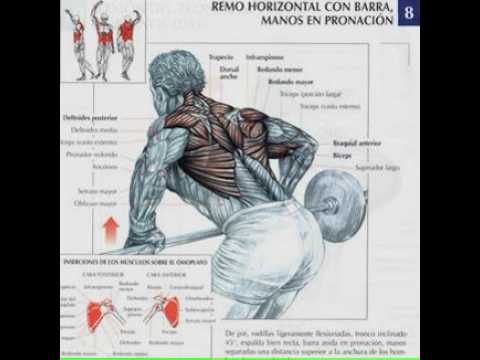 Ejercicios musculacion - Tienda Online Deportes - YouTube Ejercicios musculacion - Tienda Online Deportes - YouTube