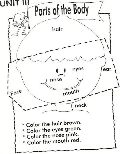 Ejercicios de inglés partes del cuerpo - Imagui