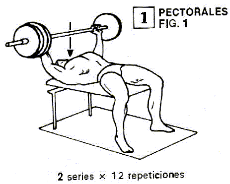 Ejercicios de pesas y musculación para cuerpos normales (1er Mes ...