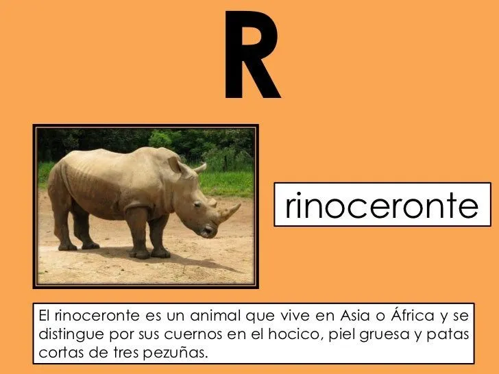 el-abc-de-los-animales-1-19- ...