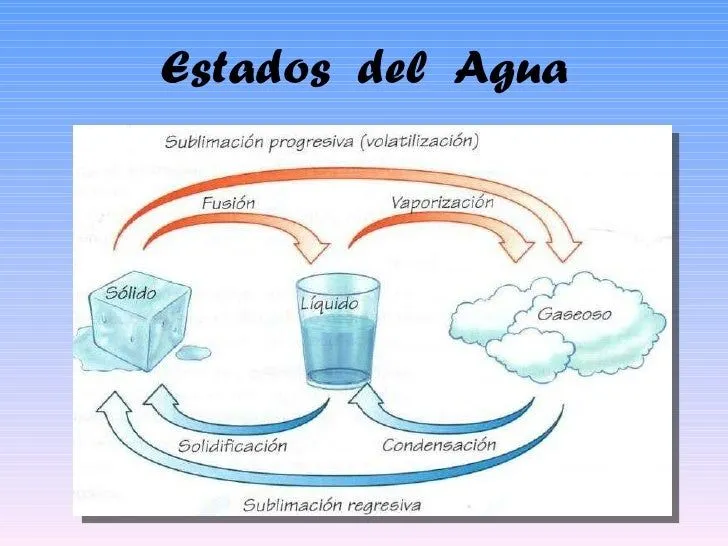 el-agua-estados-y-utilidades-4 ...