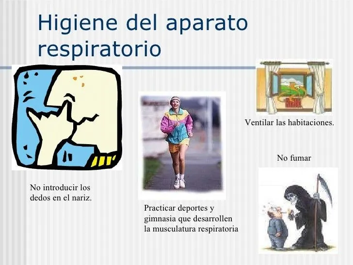 el-aparato-respiratorio-12-728 ...