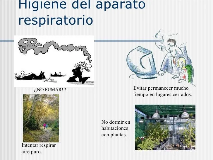 el-aparato-respiratorio-13-728 ...