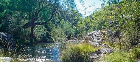El bosque encantado. Ruta familiar en Ciudad Real El bosque encantado. Ruta familiar en Ciudad Real