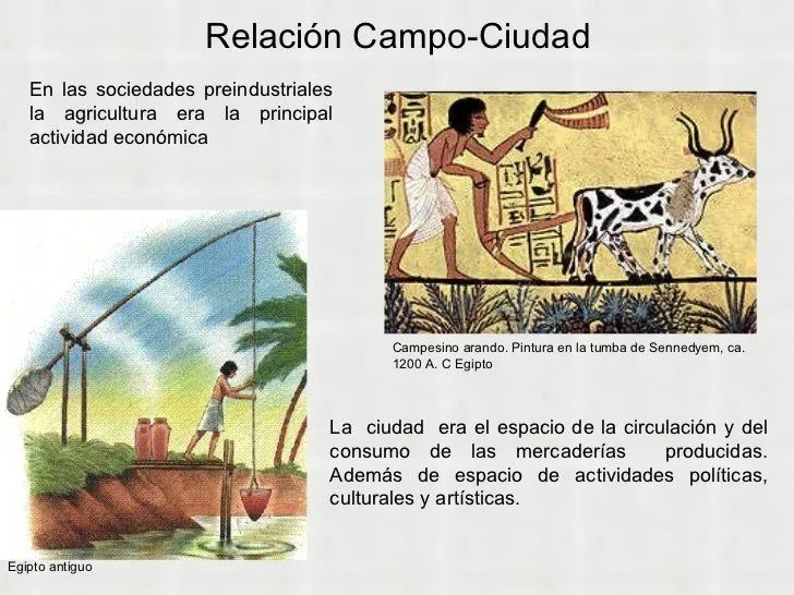 el-campo-y-la-ciudad-11-728. ...