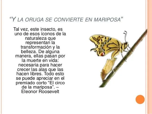 el-circo-de-las-mariposas-7- ...