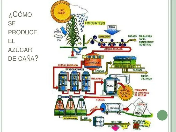 el-circuito-productivo-de-la- ...