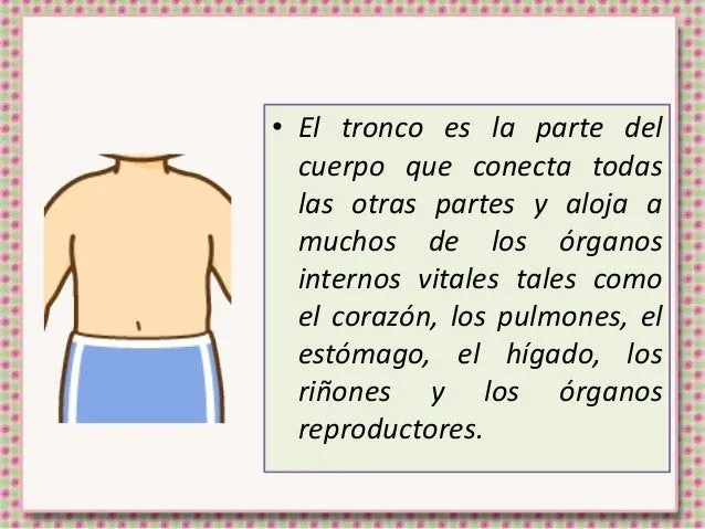 el-cuerpo-humano-5-638.jpg?cb= ...