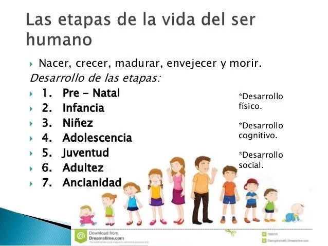 el-cuerpo-humano-como-esta- ...
