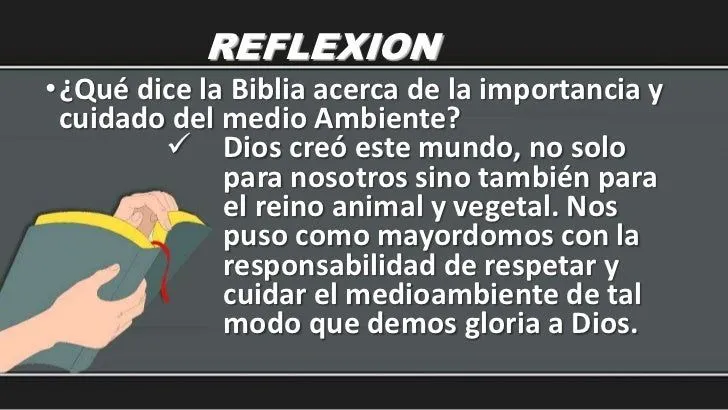 el-cuidado-de-la-creacin-17- ...