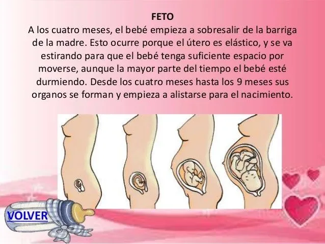 el-desarrollo-del-bebe-6-638. ...