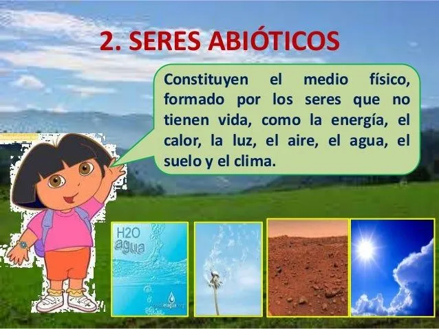 el-ecosistema-explicado-para- ...