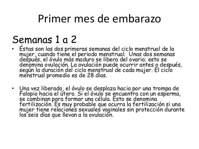 el-embarazo-1-4-mes-5-638.jpg? ...