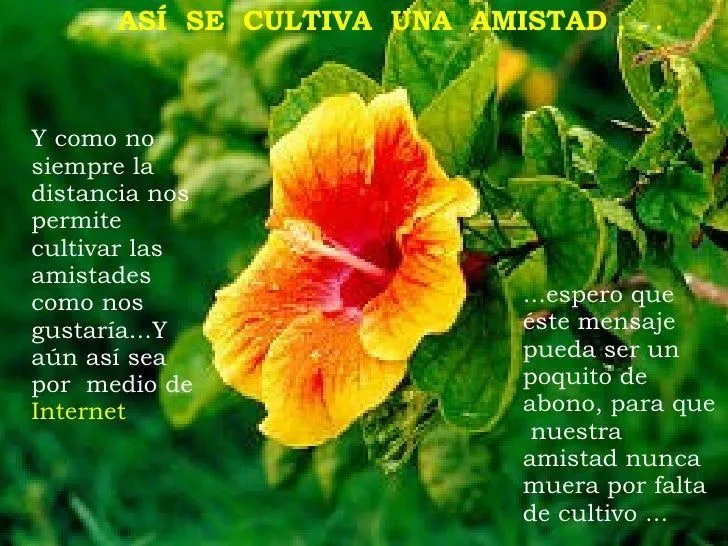 el-jardin-de-mi-vida-6-728.jpg ...