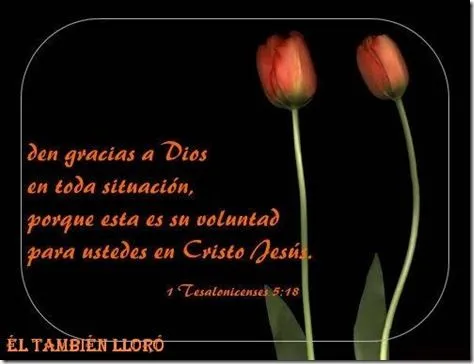 Él también lloró: Tarjetas con mensajes cristianos Él también lloró: Tarjetas con mensajes cristianos