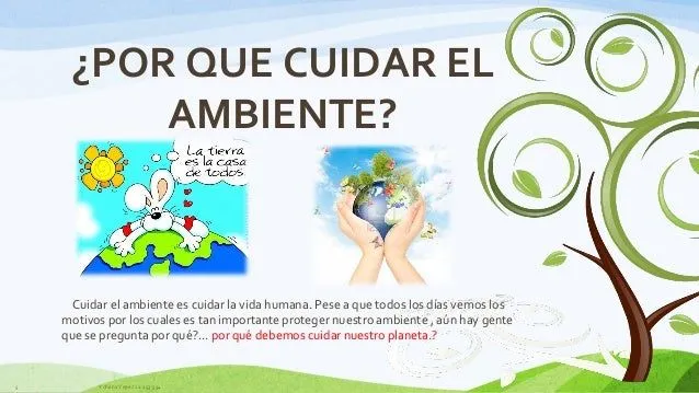 el-medio-ambiente-yohana-yepez ...