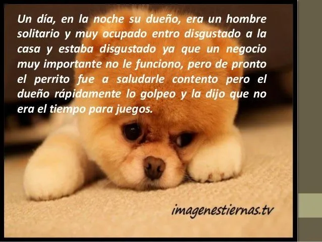 el-perrito-triste-edwin- ...