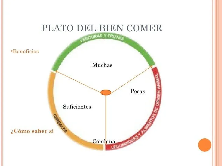 el-plato-del-bien-comer-2-728. ...