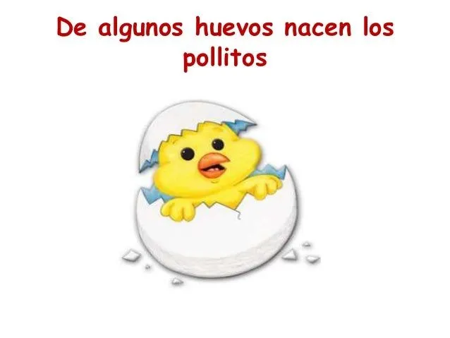 el-pollito-7-638.jpg?cb=1427026401