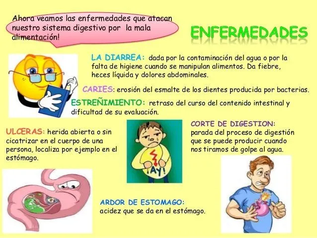 EL SISTEMA DIGESTIVO