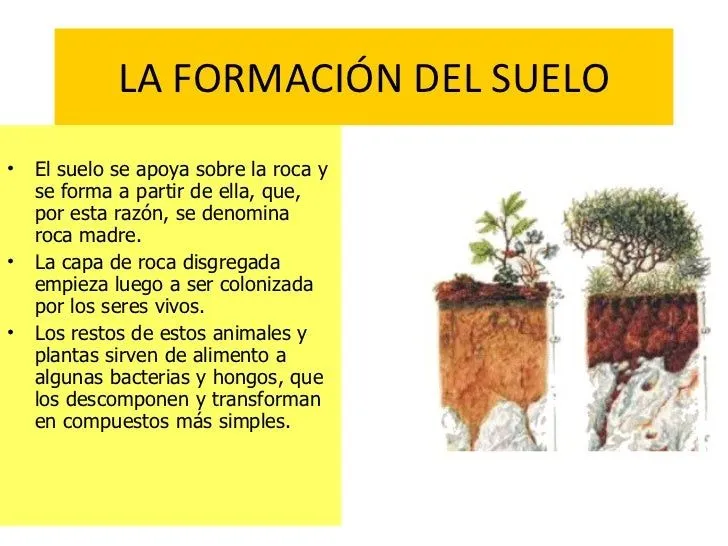el-suelo-11-728.jpg?cb=1224255155