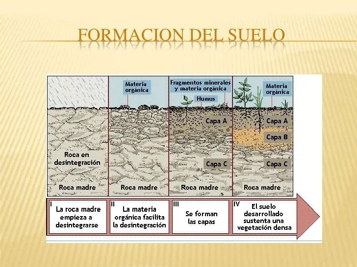 el-suelo-9-728.jpg?cb=1275929842